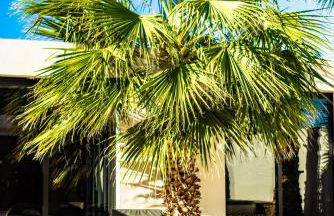 Casa Paloma with heated pool in El Roque - Foto 25