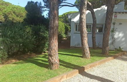 Diseño y luz entre los pinos - Foto 67