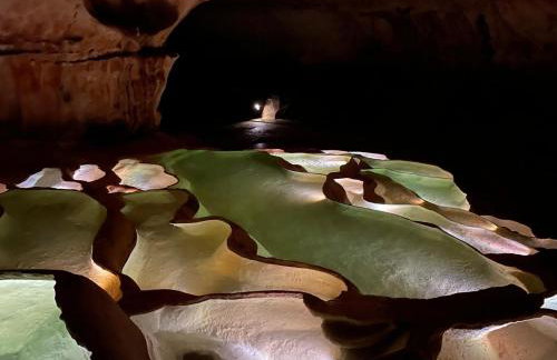 L'Oustalet Des Gorges d'Ardèche Wifi et Canal Plus - Foto 61