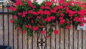 Apartament Pół Domu Nad Jeziorami - Foto 5