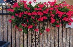 Apartament Pół Domu Nad Jeziorami - Foto 5