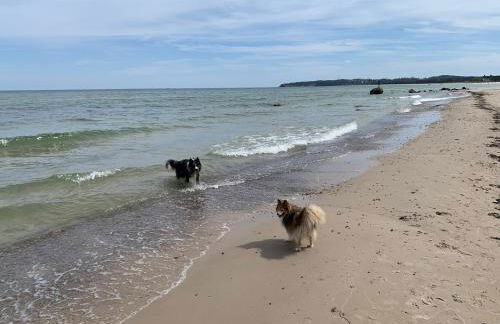 Villa Kehrwieder - Foto 7