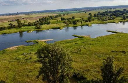 Rzeka i las - Photo 48