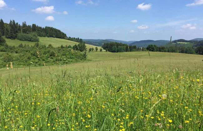 Wohnung in der Nahe des Skigebietes in Diemelsee - Photo 29
