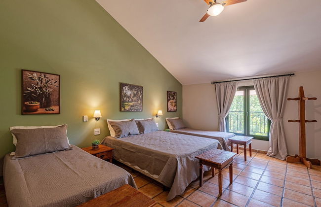 Fazenda Realeza - Foto 10