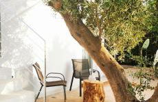 TORRE VECCHIA RELAIS - Foto 36