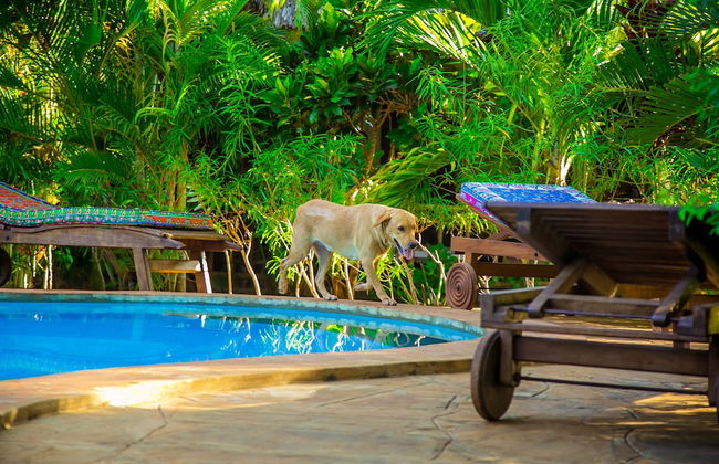 Villakwetu Cottages Diani Beach - Foto 68