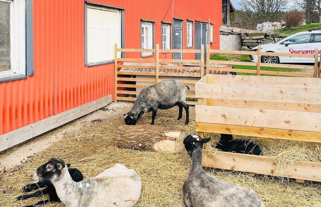 5 Person Holiday Home in Bredared-by Traum - Photo 22