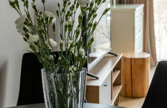 RS SUITES PRESTIGE Racławickie 10 HOME & SPA - Foto 36