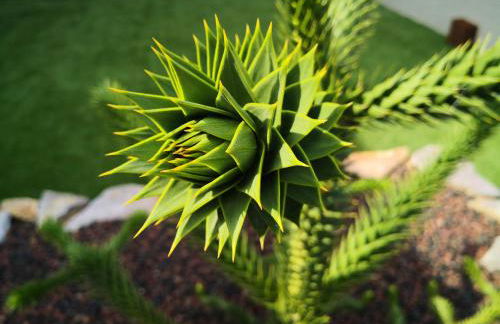 Suite l'inattendu avec Spa privatif et espace bien-être. - Foto 17