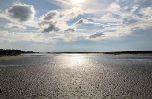 La Muche Valéricaine, coeur de ville, jardin - Foto 16