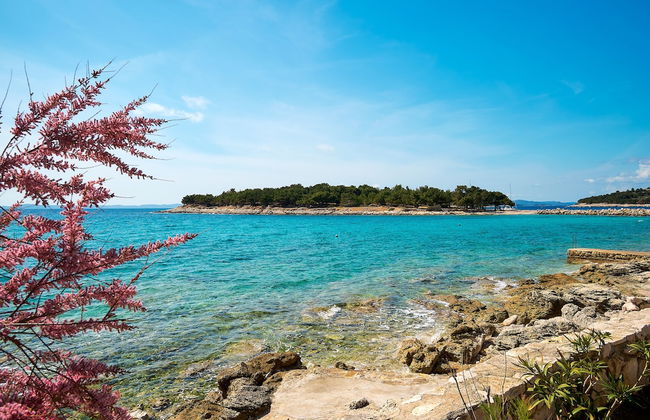 Sun Spalato Villa Cikas - Foto 23