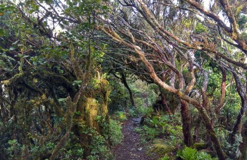 Sunset El Pris - Foto 22