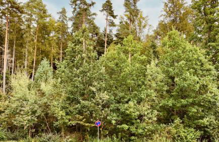 G&P Housing Apartments mit Küche & Balkon & HighSpeed Internet- Comfort - Foto 22