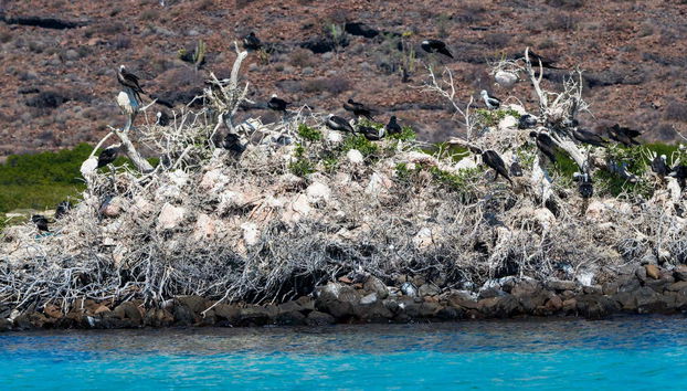 Ilha Espíritu Santo