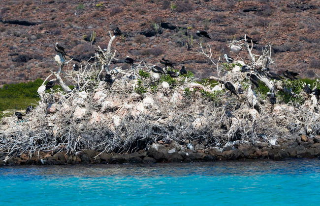 Excursion sur l'île d'Espiritu Santo - Photo 3
