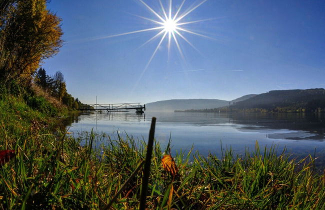 Holiday Home Black Forest - Foto 12