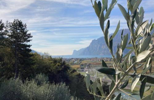 Casa Filomena - Photo 26