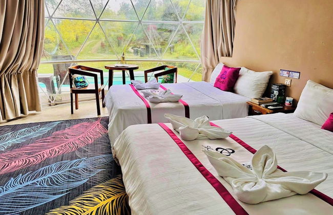 Shanti Wellness Sanctuary - Foto 8