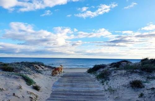 Apartamento con piscina en Oliva Nova - Foto 22