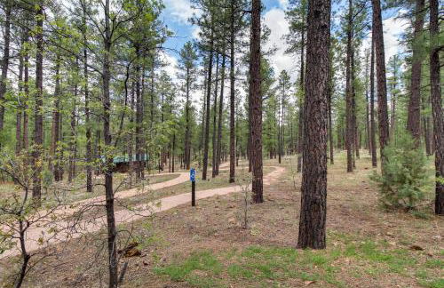 Top-Rated Torreon Community! Deck and Forest Views! - Foto 29