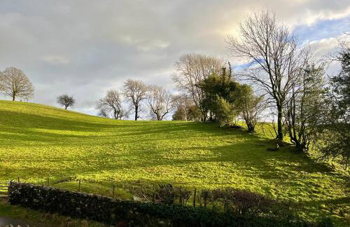 Helm Mount Lodge & Cottages - Foto 6