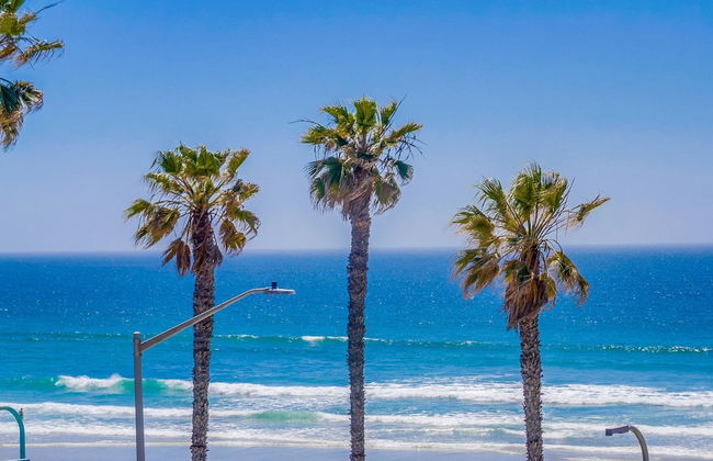 See the Sea 52 - Foto 29