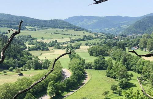 Le Kesbel entre Strasbourg et Colmar en centre Alsace - Foto 30