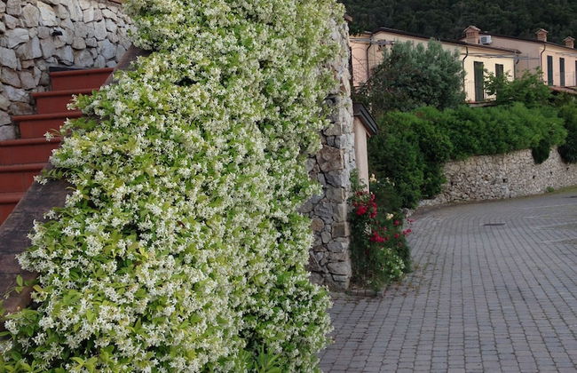 Nisportino Domus - Foto 41