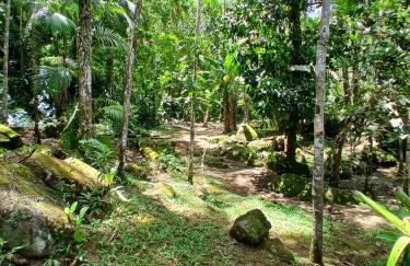 Casa com lago em Ubatuba - Foto 23