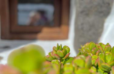 El rincón de los Aljibes - Foto 52