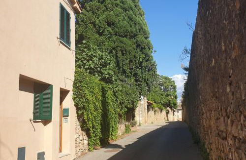 L' Antica Oliviera D'Orcia - Foto 8