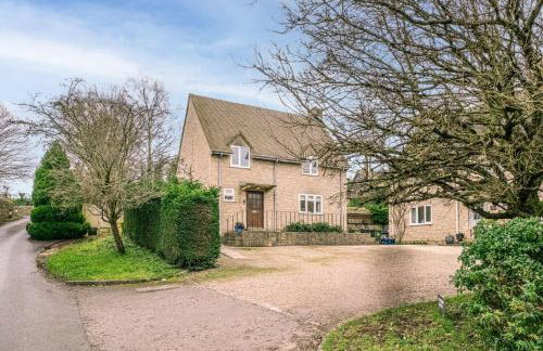 Mulberries - Photo 12