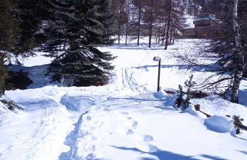 Ski apartment Sellette San Sicario Alto - Photo 30