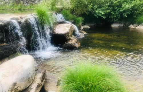 Janelas da Cabreira - Foto 22