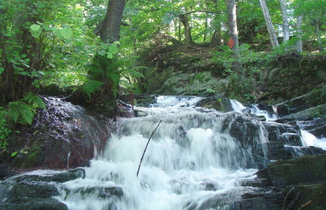 Chalet Harmonie - Foto 25