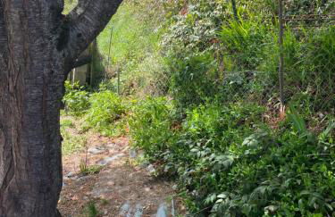 Maison Pyrénées - Foto 34