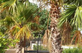 Casa on large property with private Pool - Foto 31