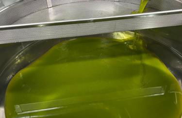 Casa Stefano - Photo 10