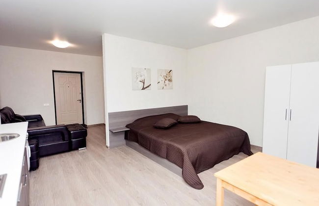 Apartament on Baumana Street - Foto 16