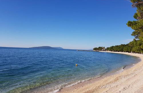 Apartments Latkovic - Photo 44