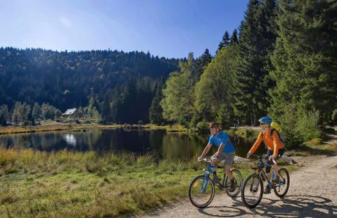 Ferienwohnung Dimpfl-Stad´l Fam. Lemberger - Foto 16