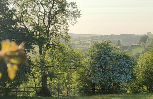 1 Bed in Rhydowen 85415 - Photo 17