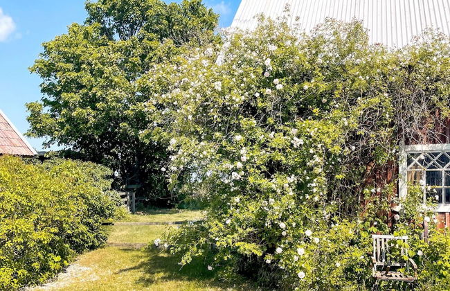 4 Person Holiday Home in Gotlands.tofta - Photo 71