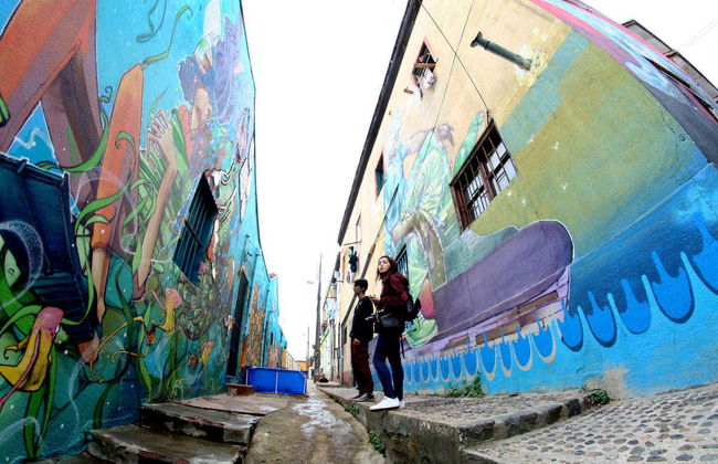 Urban Art Tour of Valparaiso - Photo 5