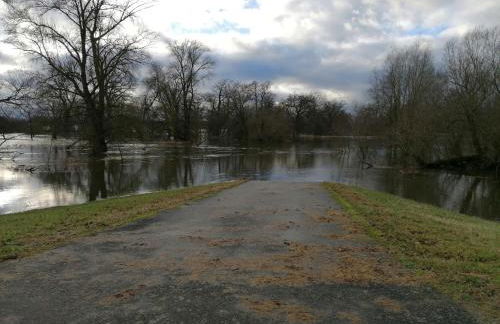 Landhotel Storchenkrug - Foto 37