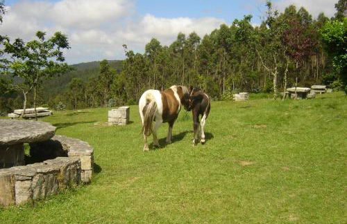 Apartamento Viveiro, Terraza Grande, 2 dormitorios 2 baños, piscinas, parking, tenis, club social - Foto 64