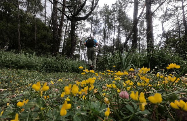 Senderismo Montaña Akramitis Rodas - Foto 9