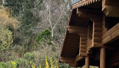 Countryside Log Cabin With Hot Tub - Beech - Foto 5