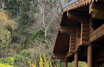 Countryside Log Cabin With Hot Tub - Beech - Foto 5